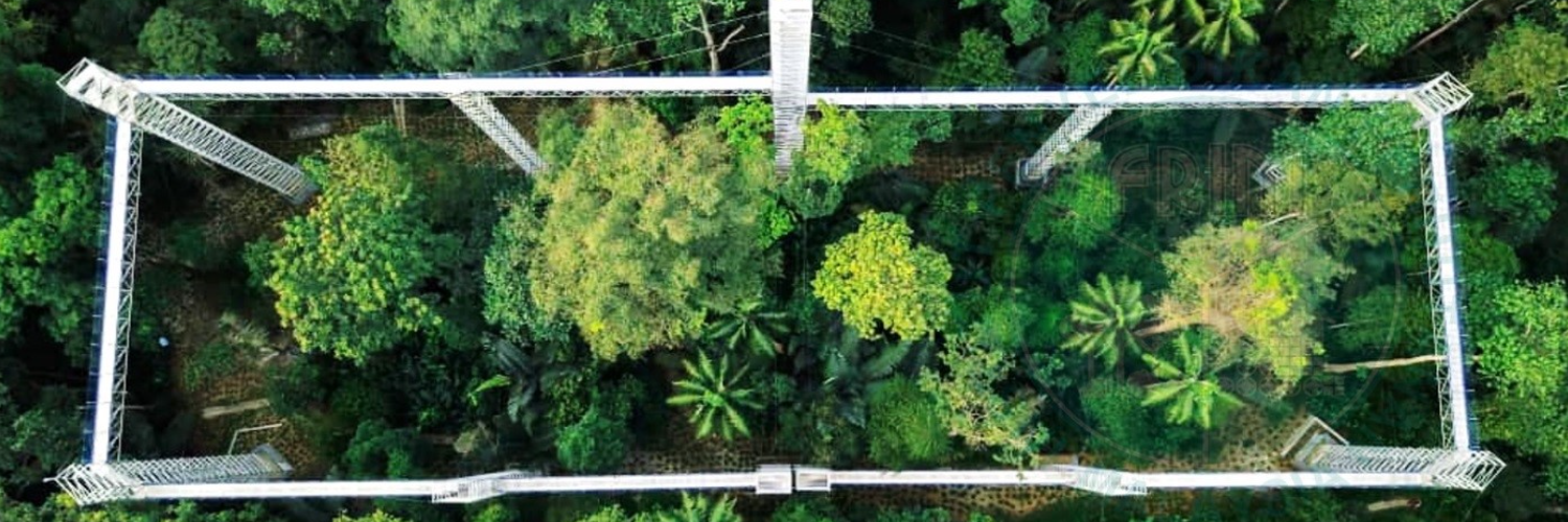 Forest skywalk Malaysia