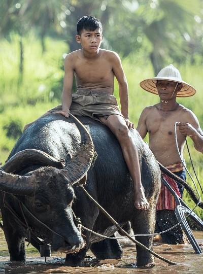 Laos – On Track