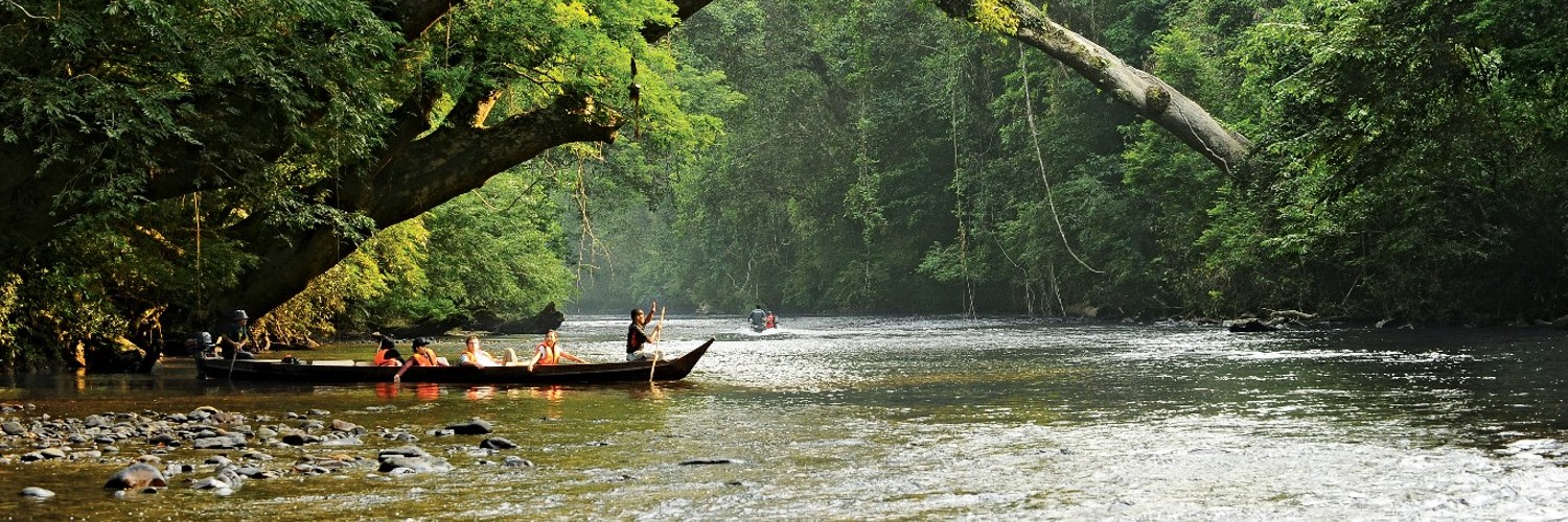 Malaysia Taman Negara National Park 