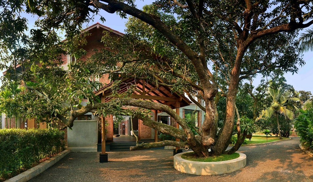 The Mango House, Alibag India