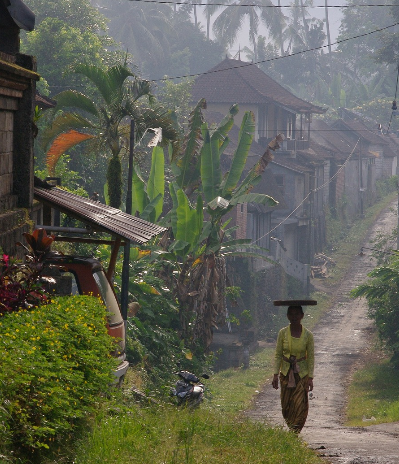 Ethical Experiences in Bali