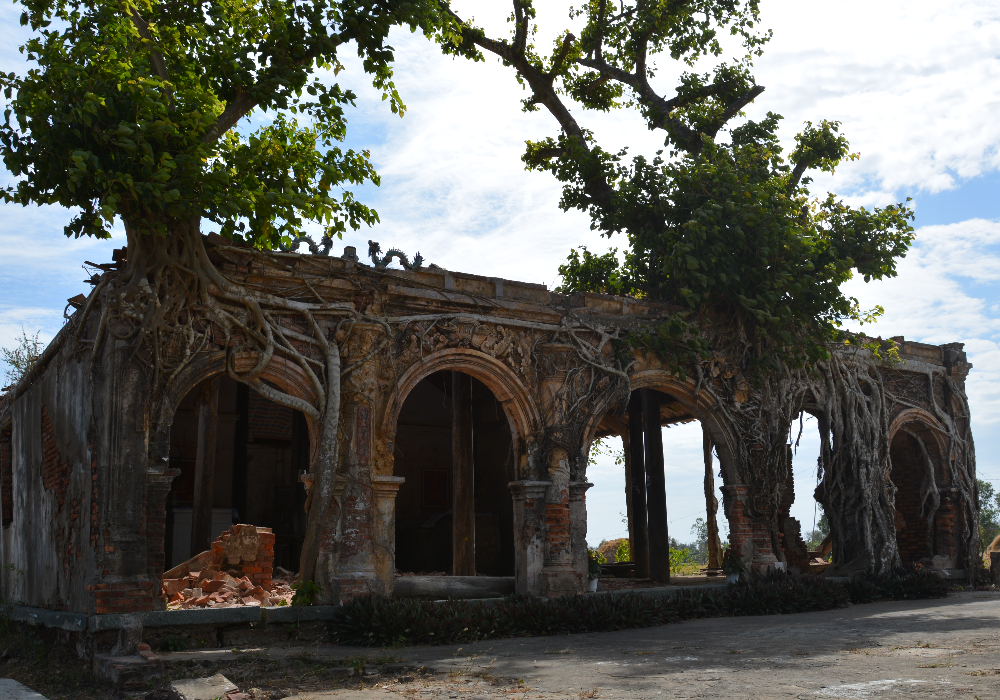 Vietnam house under the bodhi tree