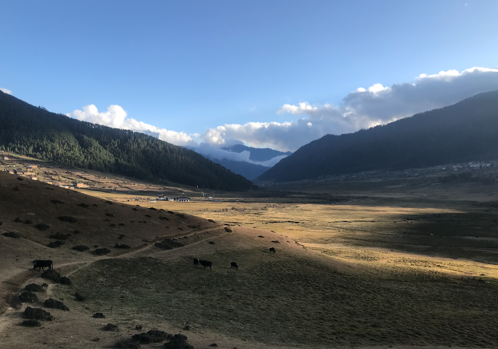 Bhutan Phobjikha Valley 