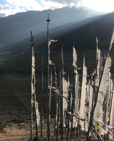 Bhutan’s Birds from Heaven