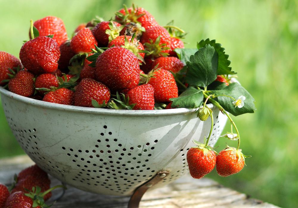 Strawberries Japan 