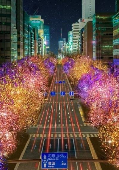 Japan – Winter illuminations