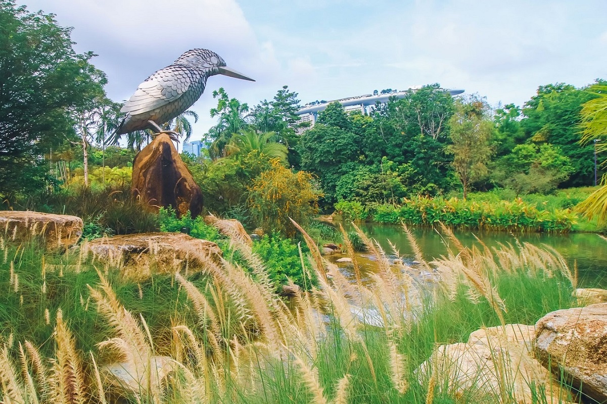Kingfisher wetlands singapore
