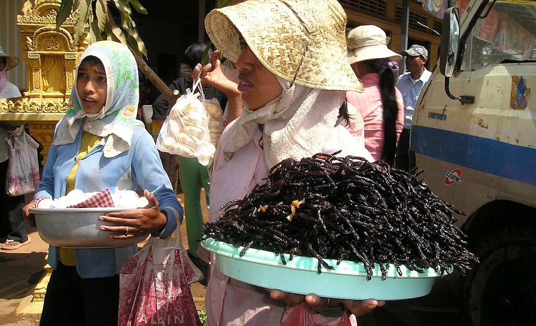 Cambodia insect market 2