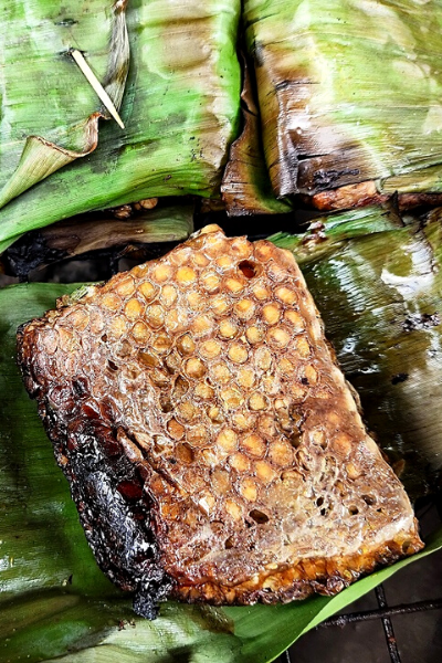 Laos – Bee larvae