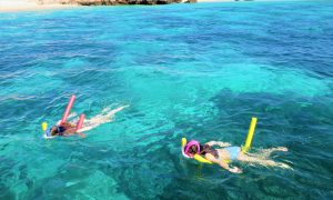 Snorkeling-Experience-at-Damaniyat-island-4_450_750