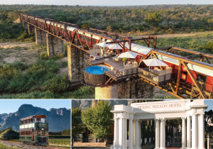 South Africa - Vintage Vino Tours & More