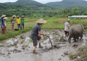 Laos - In the Shoes of a Rice Farmer