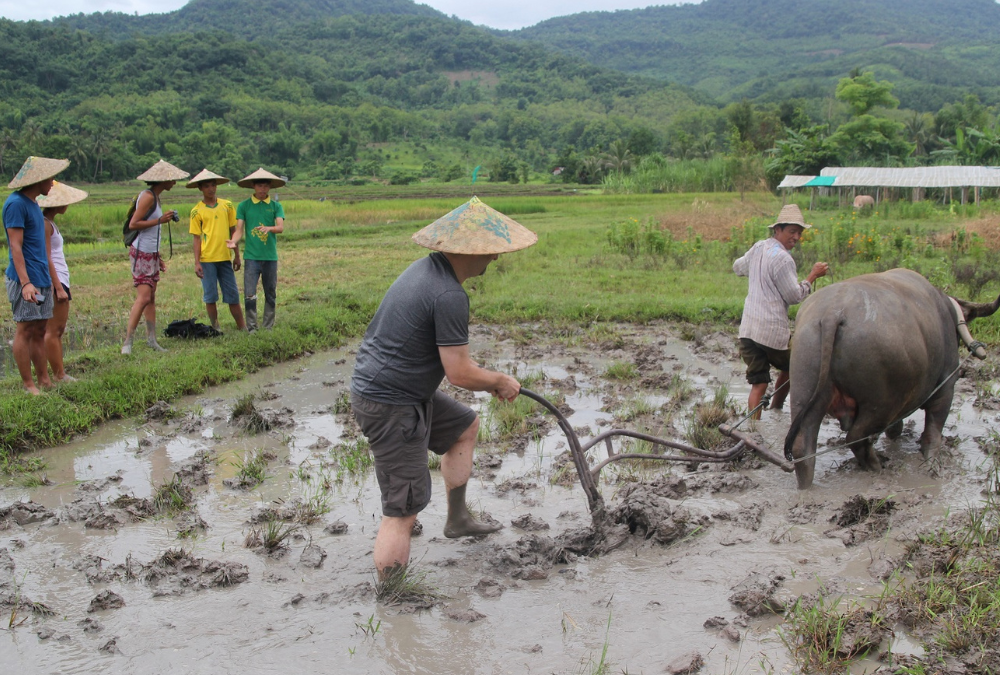 Laos – In the Shoes of a Rice Farmer