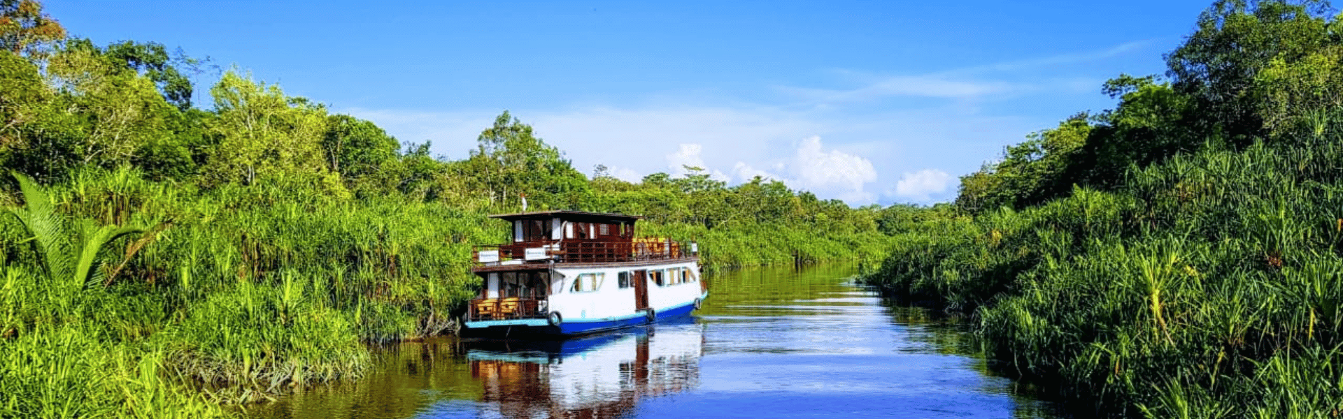 Borneo - Orangutan & River Adventure<br />
