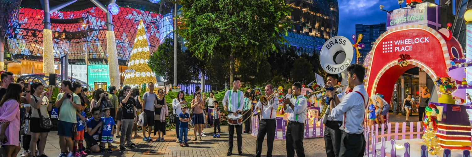 Singapore - Orchard Road Aglow: Celebrate Christmas in Style!
