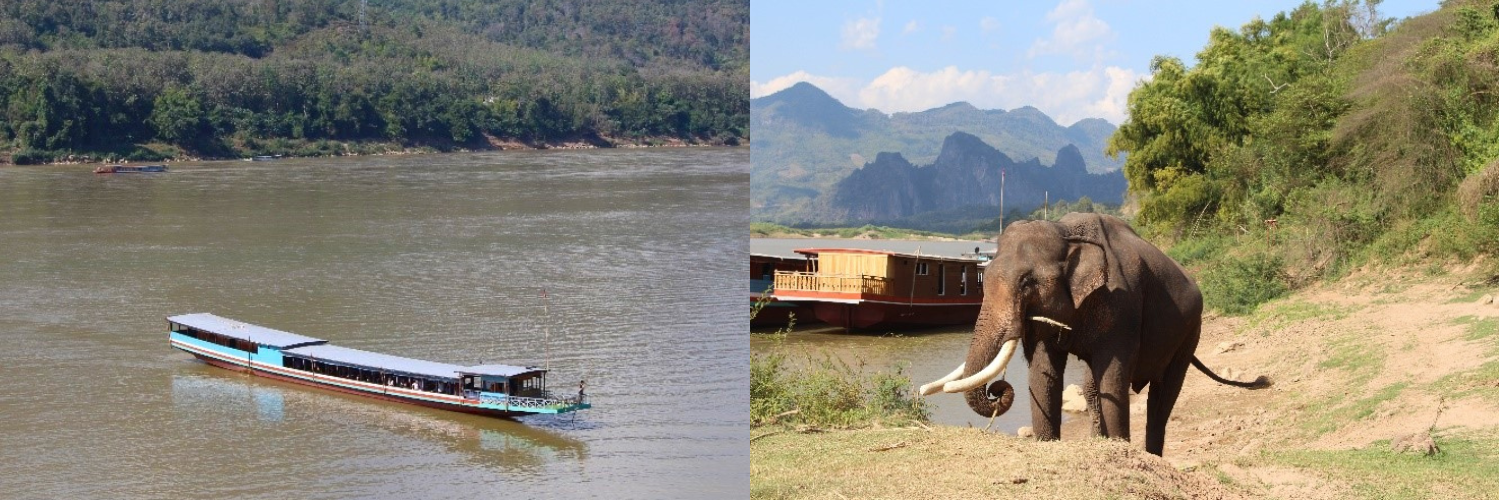 Laos - Responsible Animal Experiences<br />
