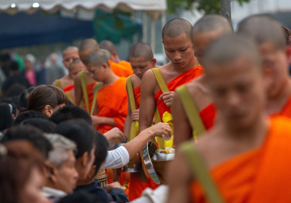 Laos - Responsible Animal Experiences<br />
