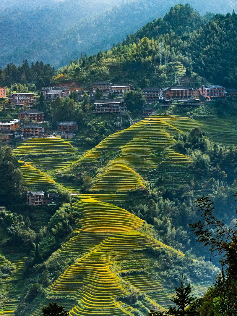 China, Lonji Rice Terraces