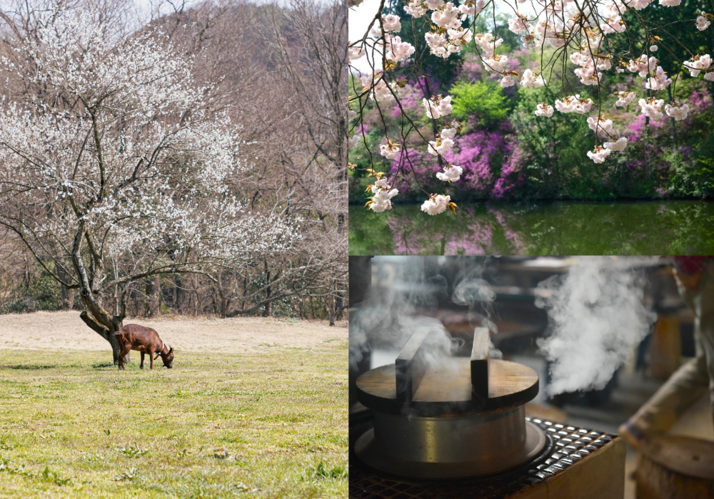 Villa Inle Boutique Resort