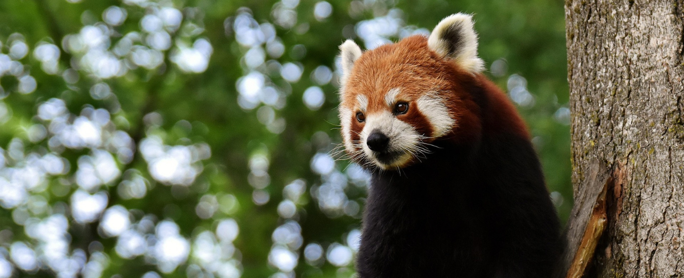 Bhutan Hot Stone Baths