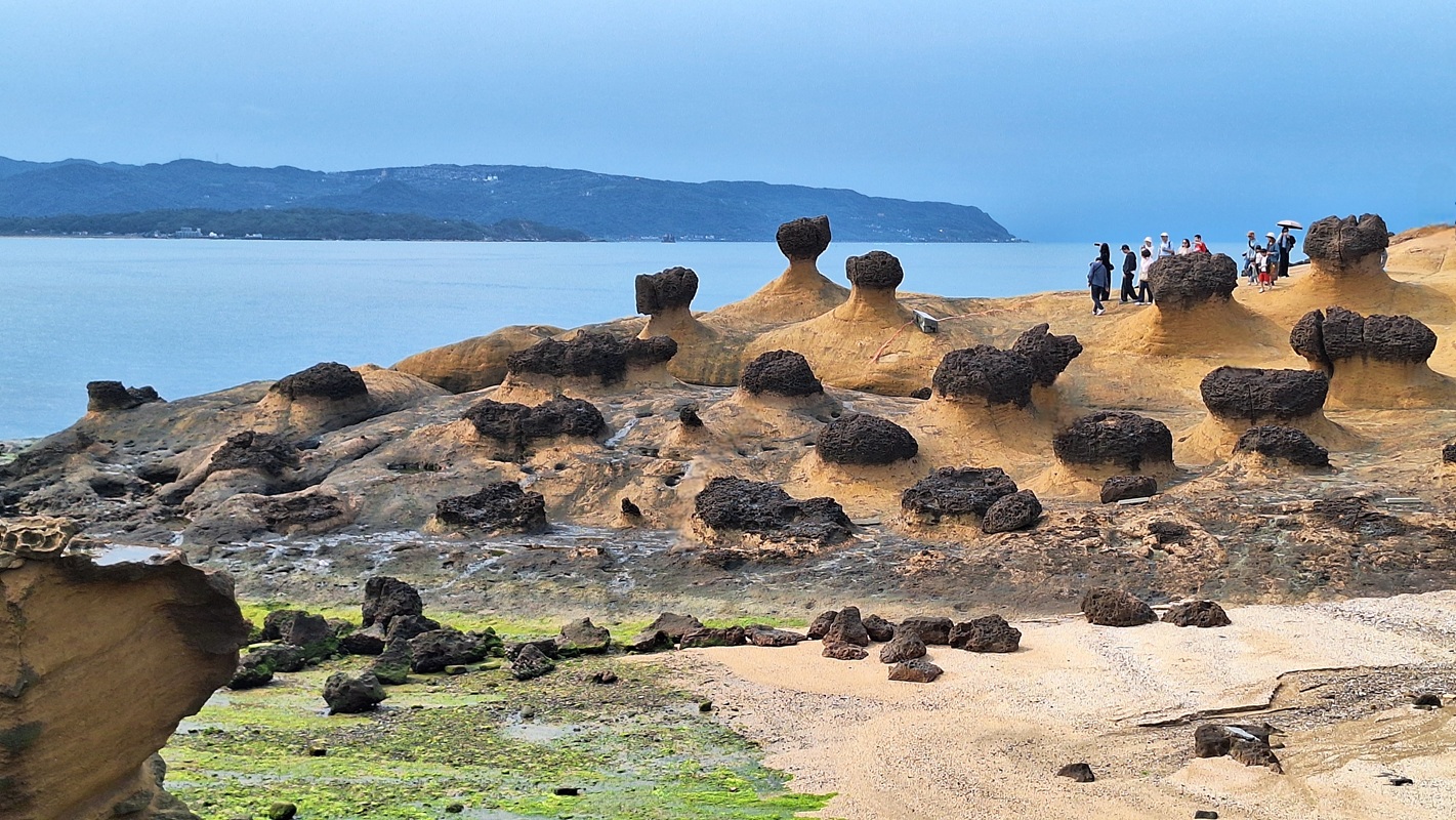 Coral Pearl, Lakshadweep – IHCL SeleQtions