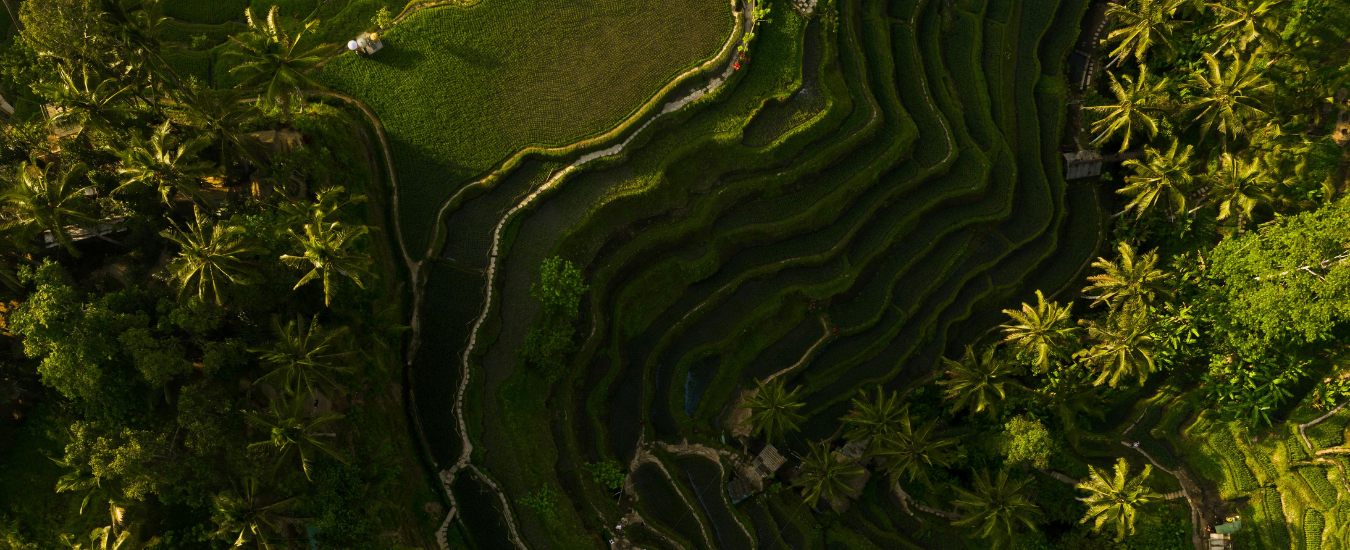 Bhutan Hot Stone Baths