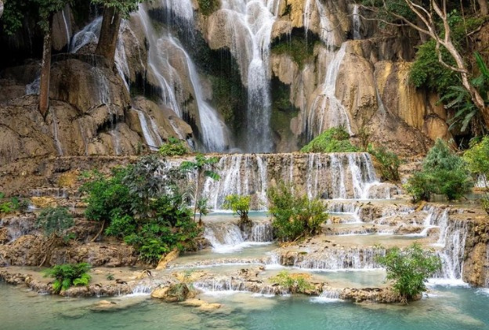 Laos: The Bears of Kuang Si