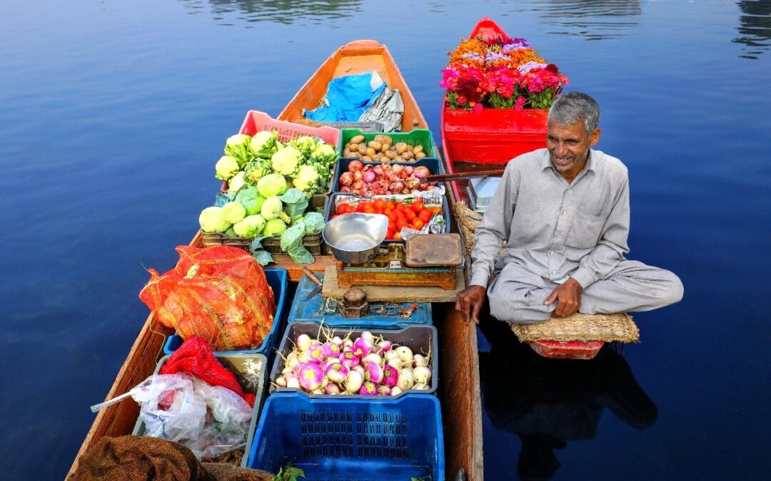 India: Kashmir Uncovered