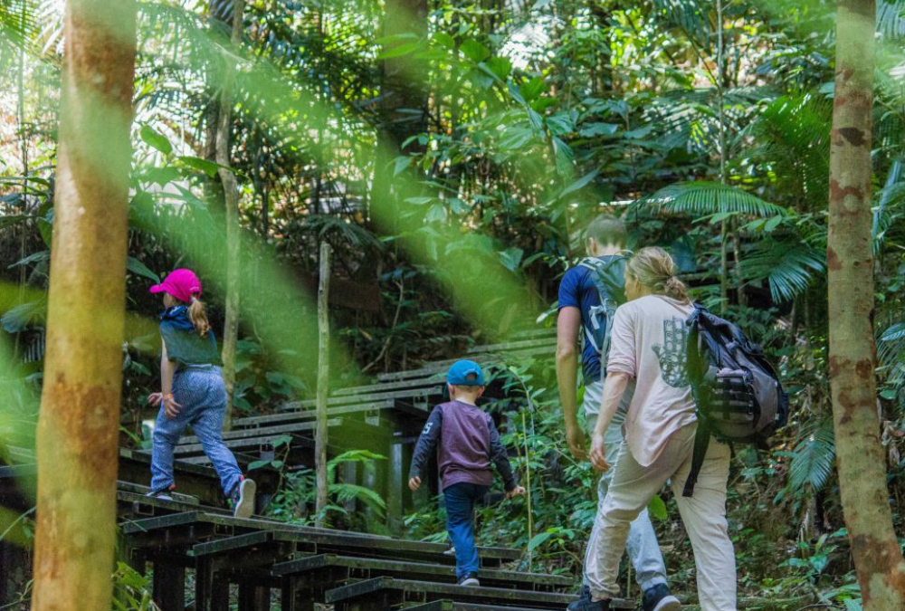 Malaysia: Canopy Walk Returns