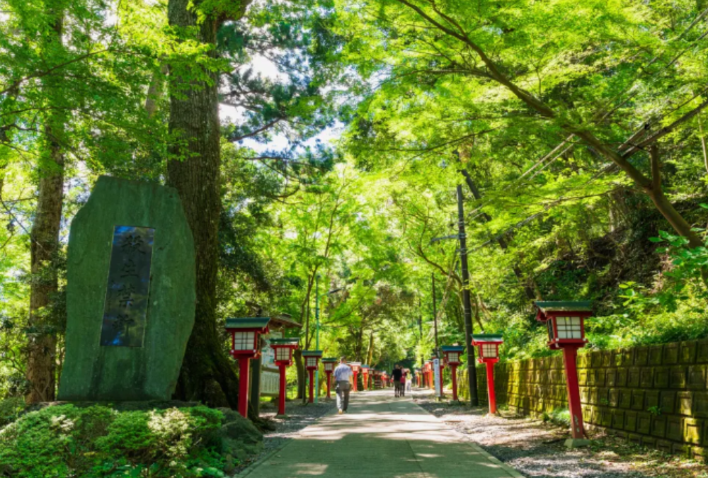 Japan: Beyond the Tokyo Skyline